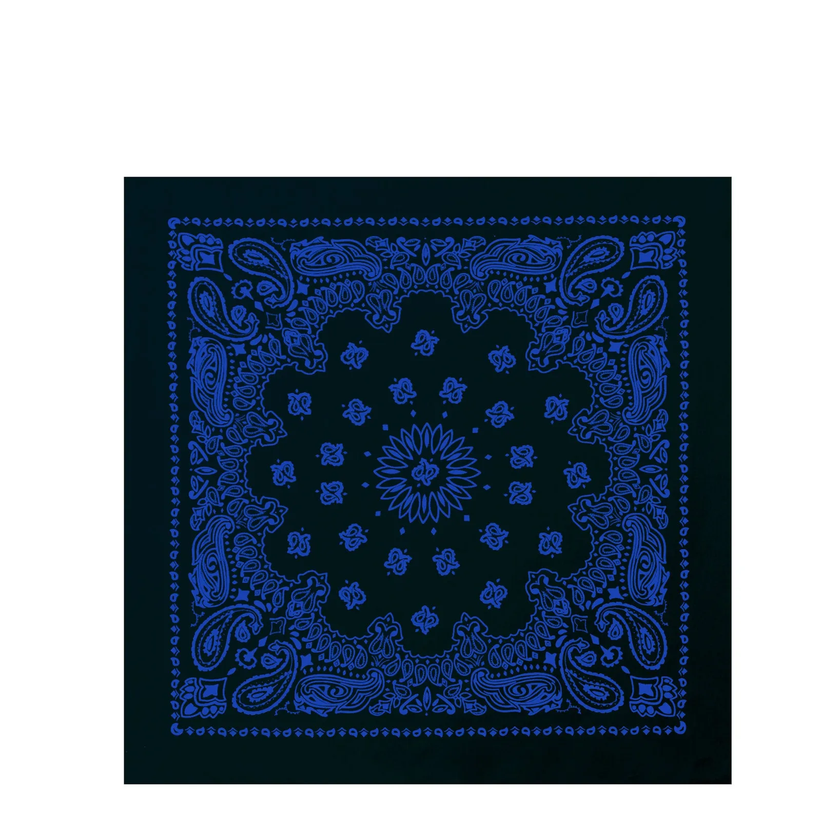 Black / Blue Trainman Bandana