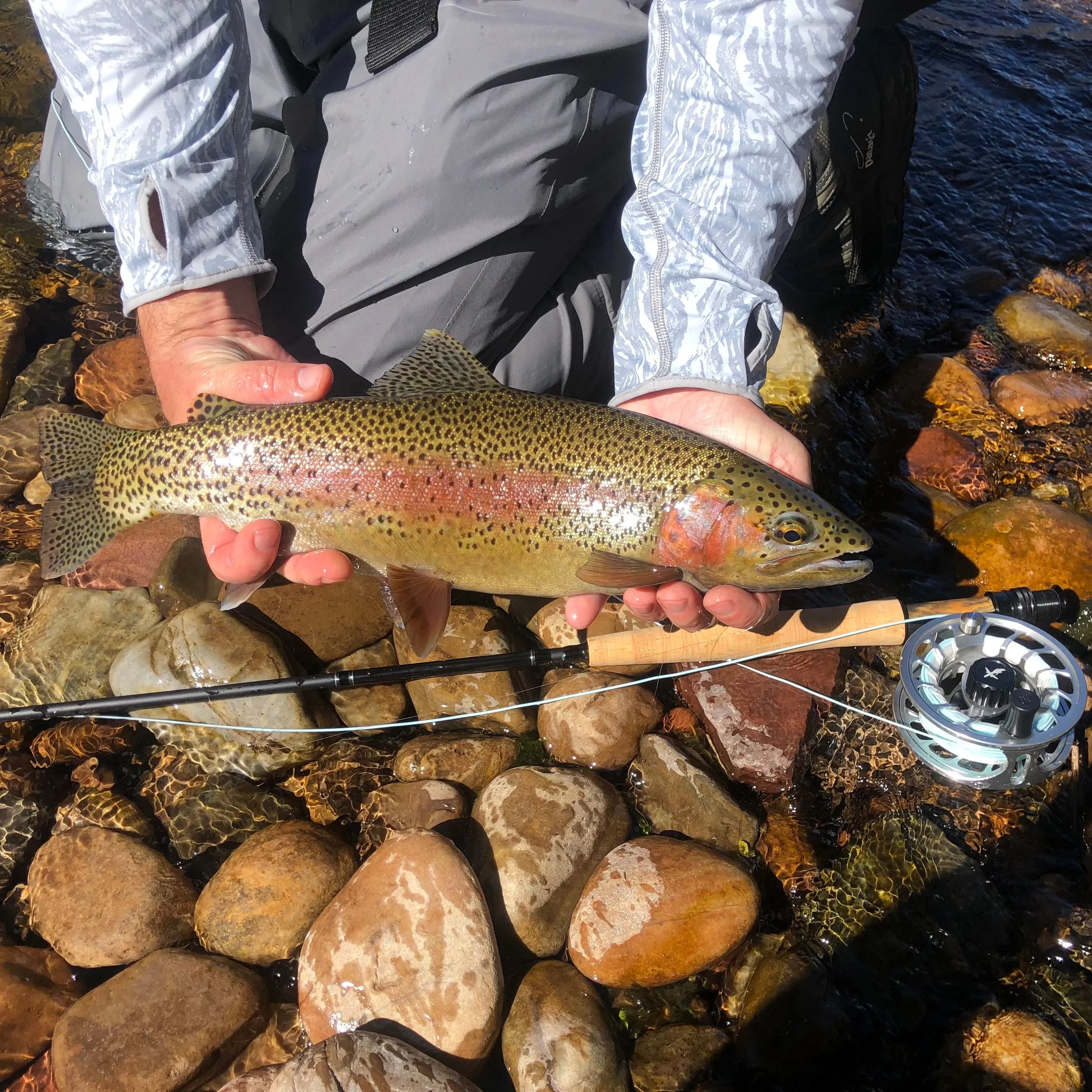 El Jefe Fly Fishing Combo Package | 904-6 | 9' Four Section 6 Weight Fly Rod And Reel Outfit