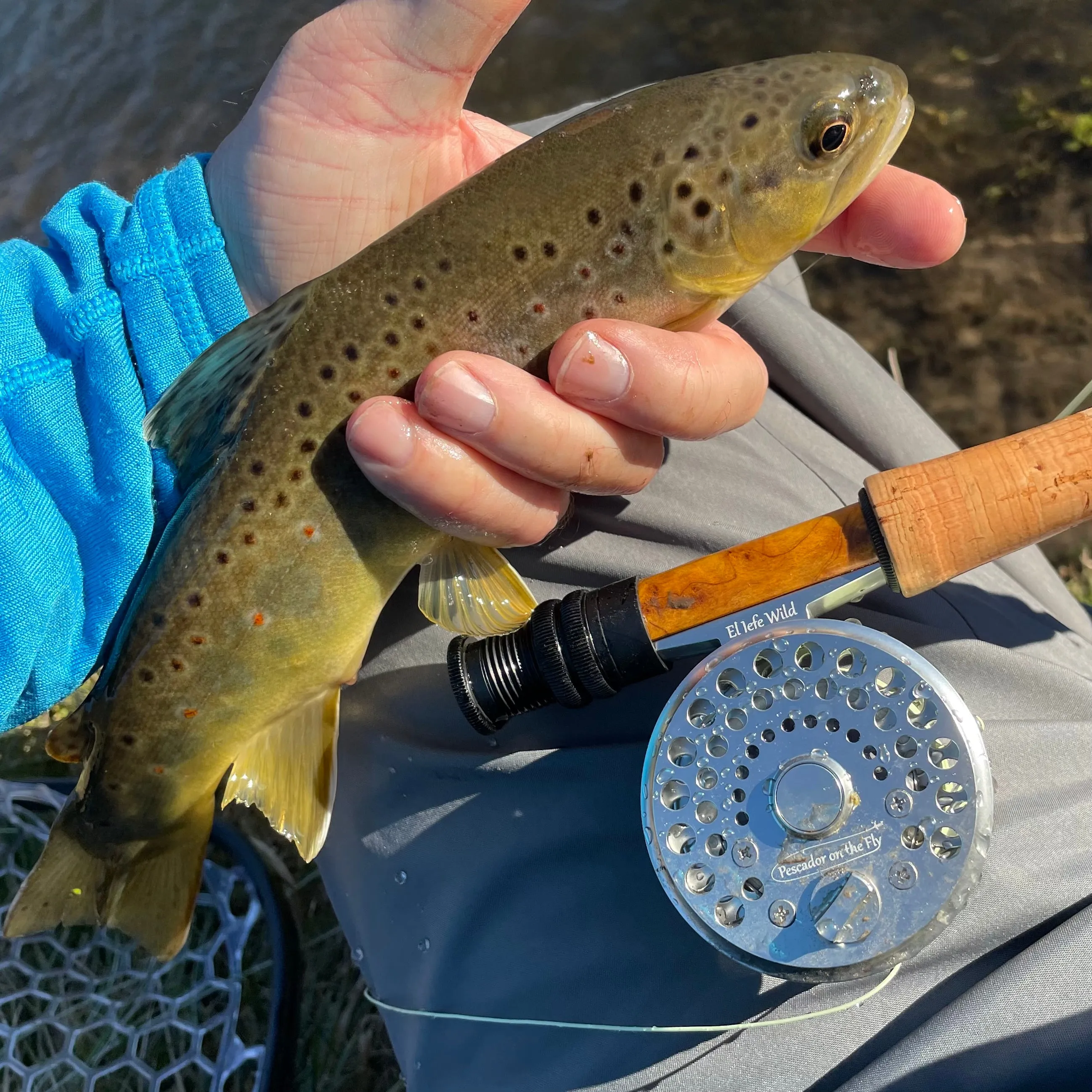 El Jefe Wild Fly Fishing Combo Package | 704 | 7' Four Section 1 Weight Fly Rod And Reel Outfit