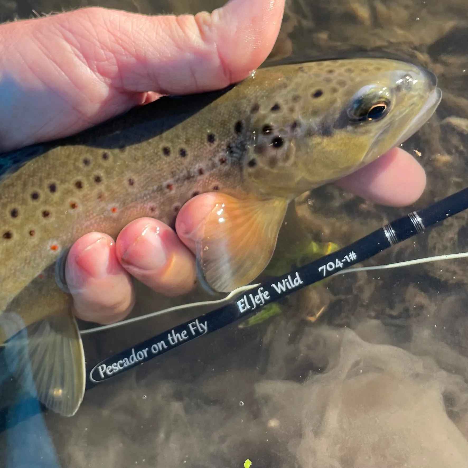 El Jefe Wild Fly Fishing Combo Package | 704 | 7' Four Section 1 Weight Fly Rod And Reel Outfit
