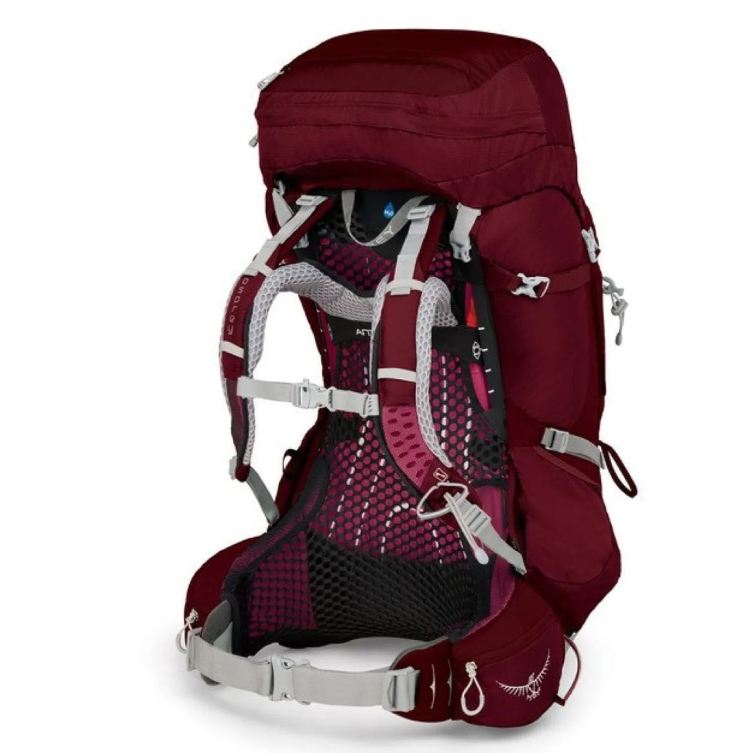 Osprey Aura AG 65 Backpack with Raincover - Medium - Women's Backpacking